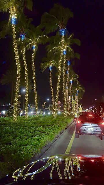 Happy Holidays from Miami