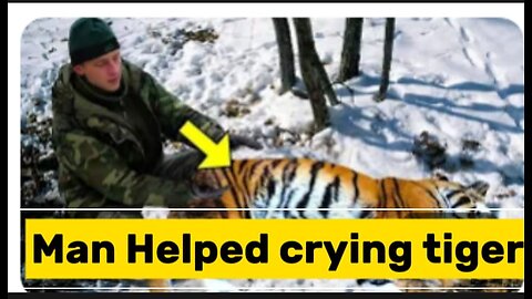 Man help criying tiger