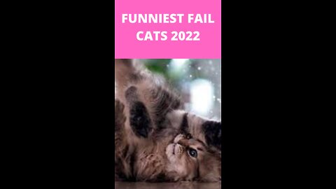 funniest fail- try not to laughs