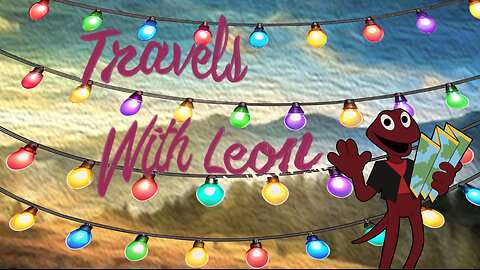 Travels With Leon - Christmas Lights