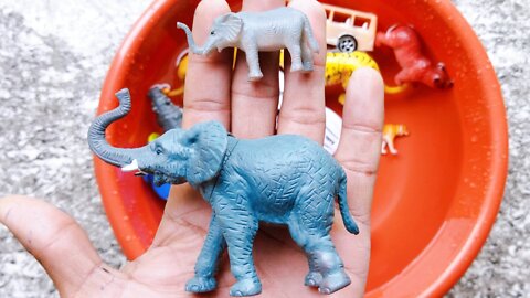 Mini toys Animal