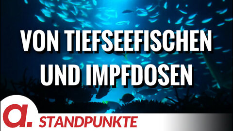 Von Tiefseefischen und Impfdosen | Von Bernd Lukoschik