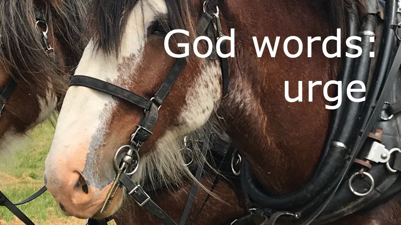 God words: urge