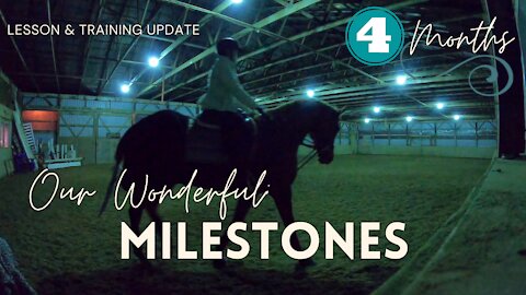 4 Months of Dressage for my OTTB