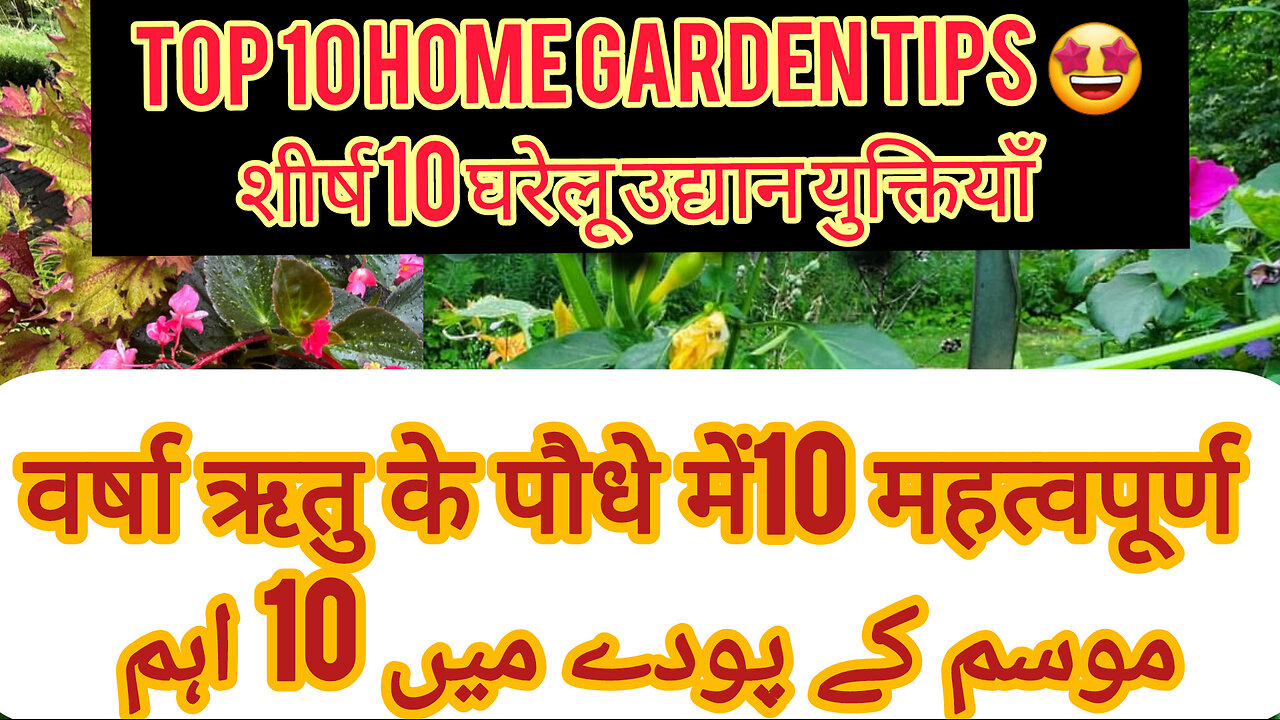 Kichengarden routine growing seeds timing starting seeds gardening hacks