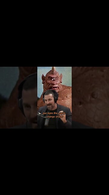 The origin of the cyclops myth - Joe Rogan & Andrew Huberman