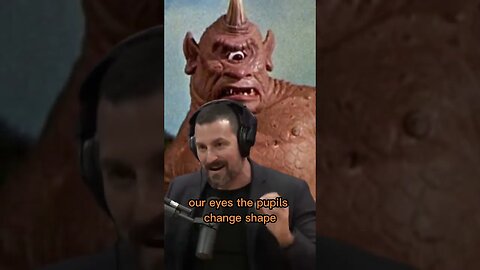 The origin of the cyclops myth - Joe Rogan & Andrew Huberman