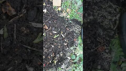 wasteful useful dirt