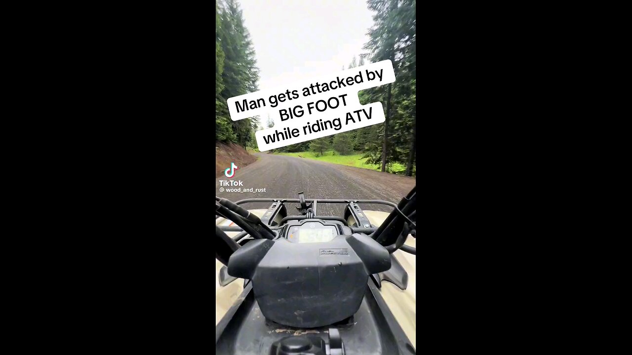 man attacked by bigfoot