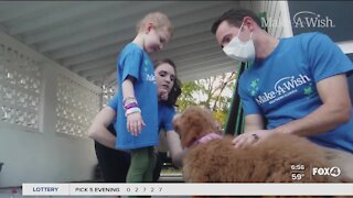 Bonita Springs girl gets "wish" puppy