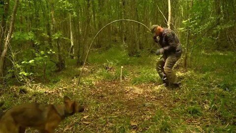 Building $ a $ Survival $ Shelter $ in $ a Forest Camp food from natural herbs