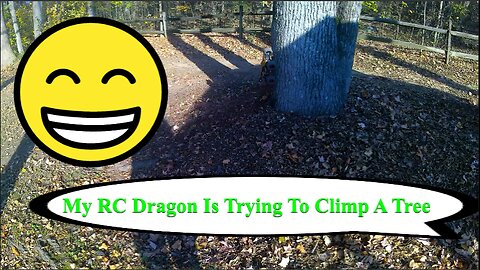 RC Dragon At The Park Part 3