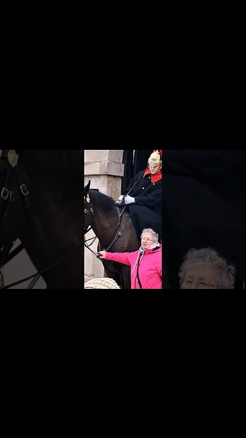 Pulling the Reins away #horseguardsparade