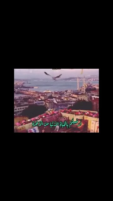 🤲 ارضيتم بالحياة الدنيا من الآخرة ... 🤲سورة التوبة ٣٨ 🙏