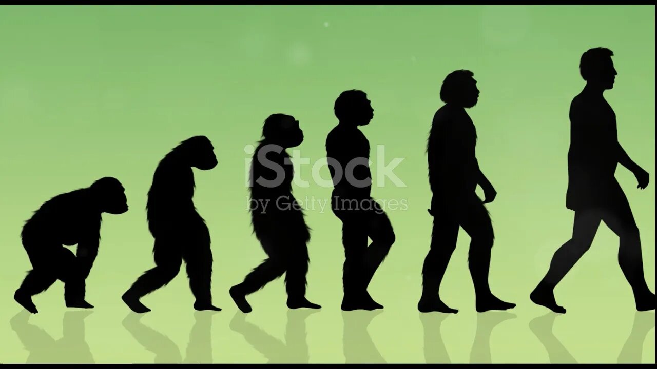 HUMAN EVOLUTION | Journey Through Theories | Darwin's Theory | All You Need To Know