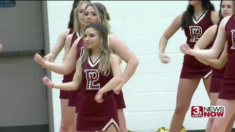 Papillion-LV vs. Norfolk