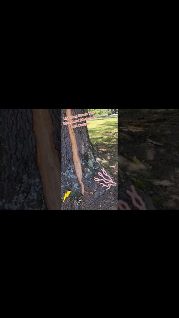 It was pretty loud. #thelotsproject #lightning #rvlife #fulltimerv #weather #tree