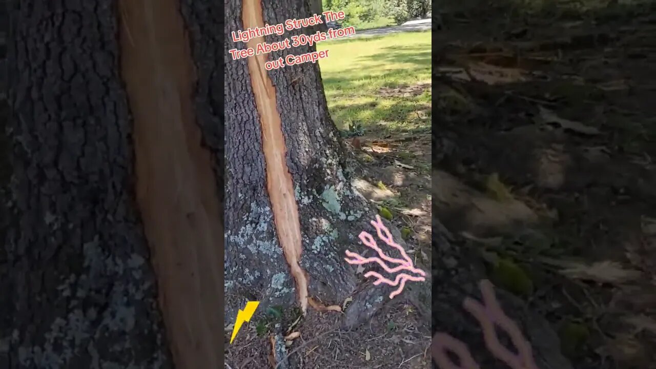 It was pretty loud. #thelotsproject #lightning #rvlife #fulltimerv #weather #tree