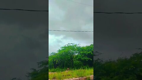 #jaypur
