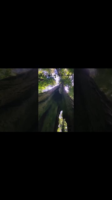 The Book of Huntsman