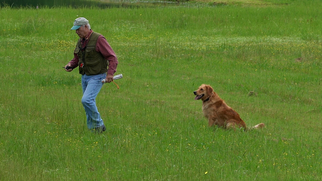 Beginning version Walking Marks w Bill Hillmann