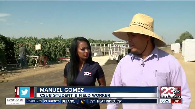 CSUB student heads back to the classroom after spending his entire summer working in the grape fields