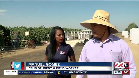 CSUB student heads back to the classroom after spending his entire summer working in the grape fields