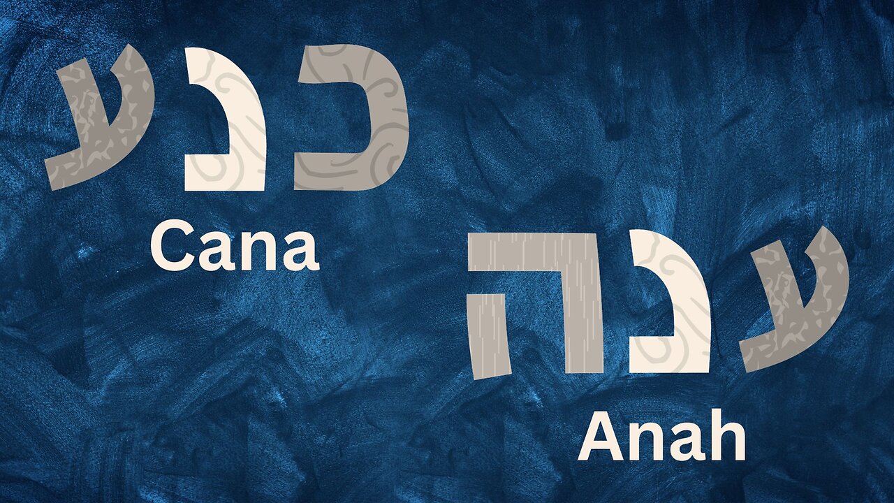 Meekness, Canah כָּנַע, Anah עָנָה - David Mitts
