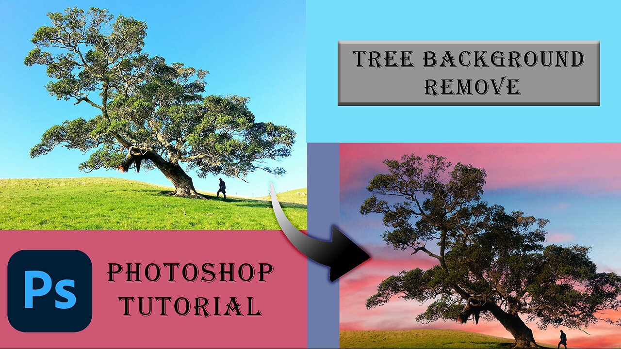 Tree background remove and change / फोटो का बैकग्राउंड को हटाना सीखे