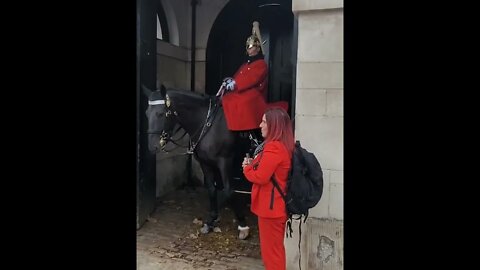 Tourist told to leave the Horse alone. she tries to give the Horse water #horseguardsparade