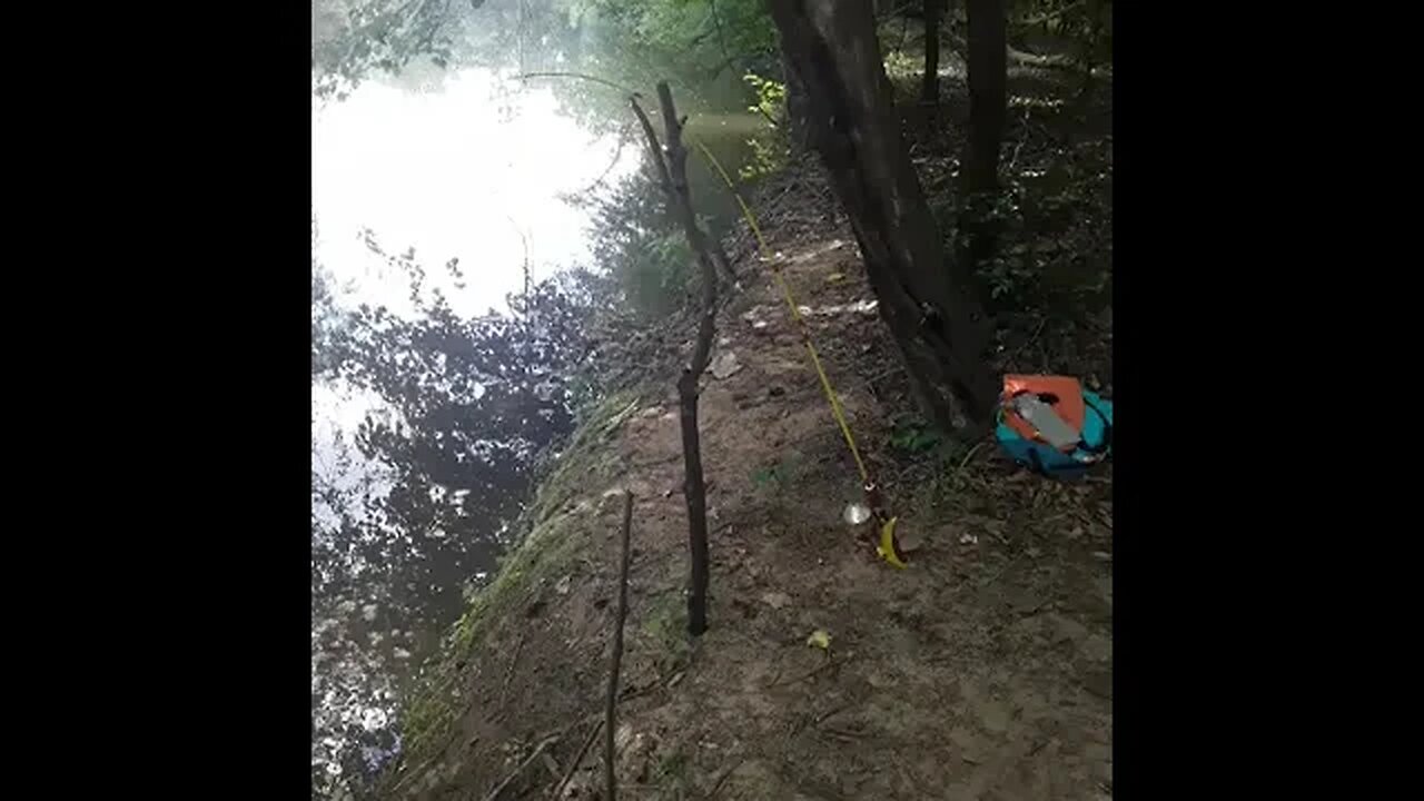 When you see the bubbles you know that you have some troubles