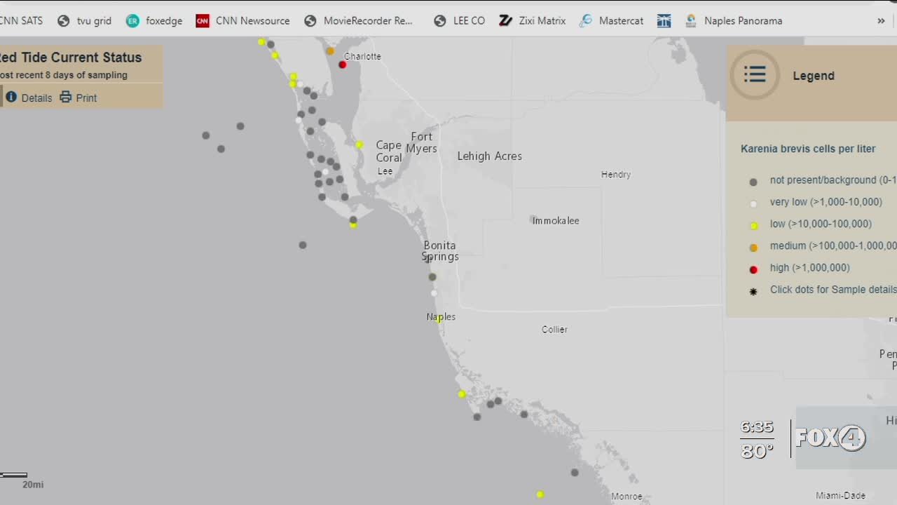 Red Tide found in Southwest Florida