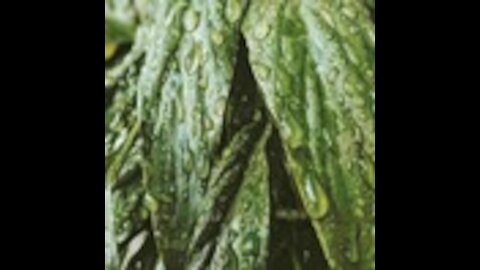 Withdrawal of money from the site aviso.