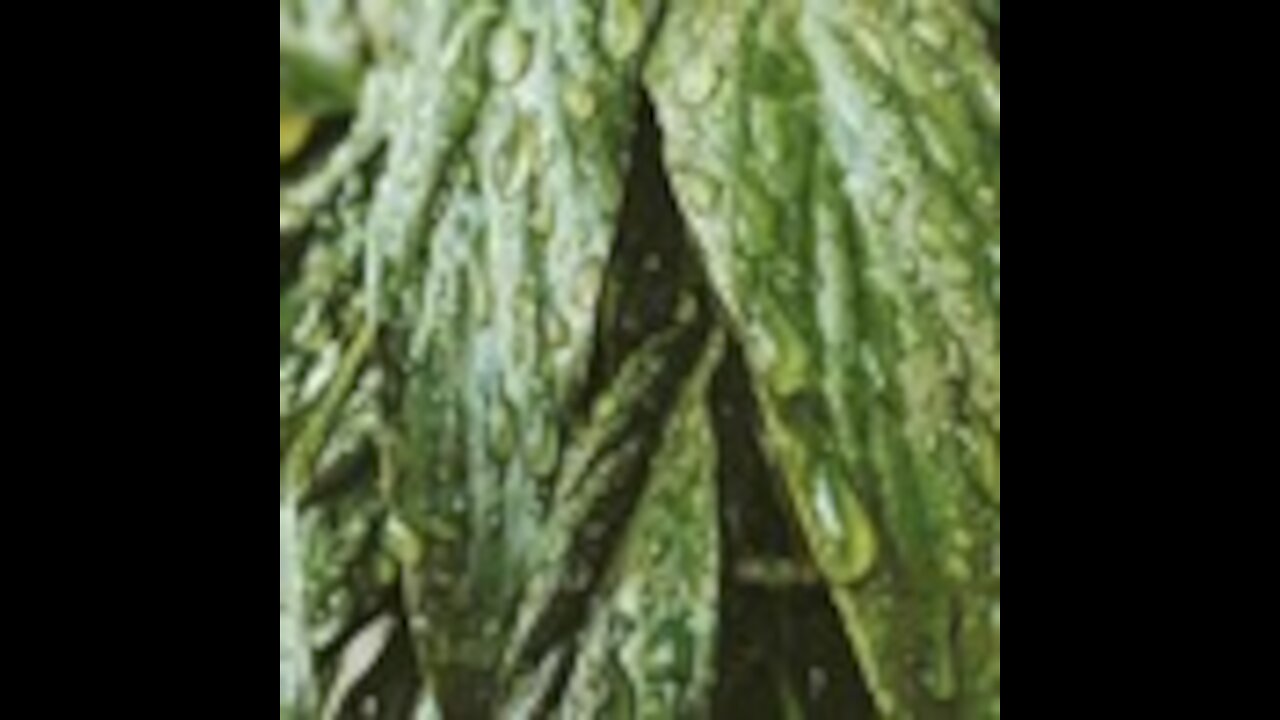 Withdrawal of money from the site aviso.