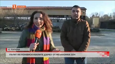 Пътят на конфискуваните дърва от незаконна сеч