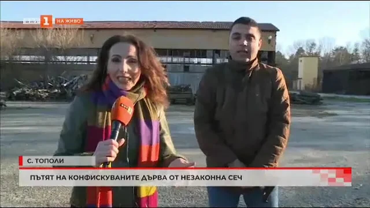 Пътят на конфискуваните дърва от незаконна сеч