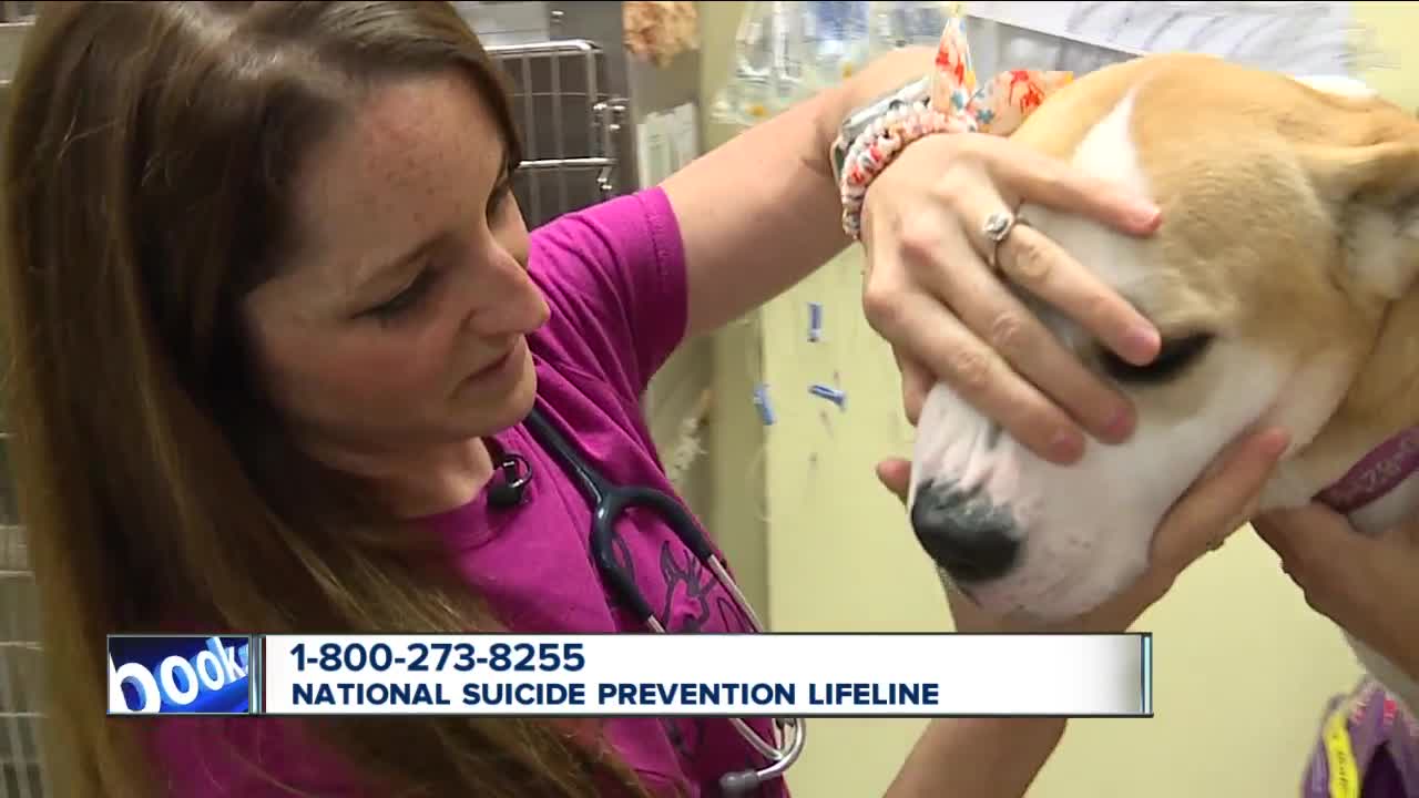 Veterinarians are more than twice as likely as the rest of us to take their own lives