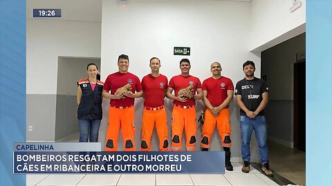 Capelinha: Bombeiros resgatam 2 filhotes de cães em ribanceira e outro morreu.