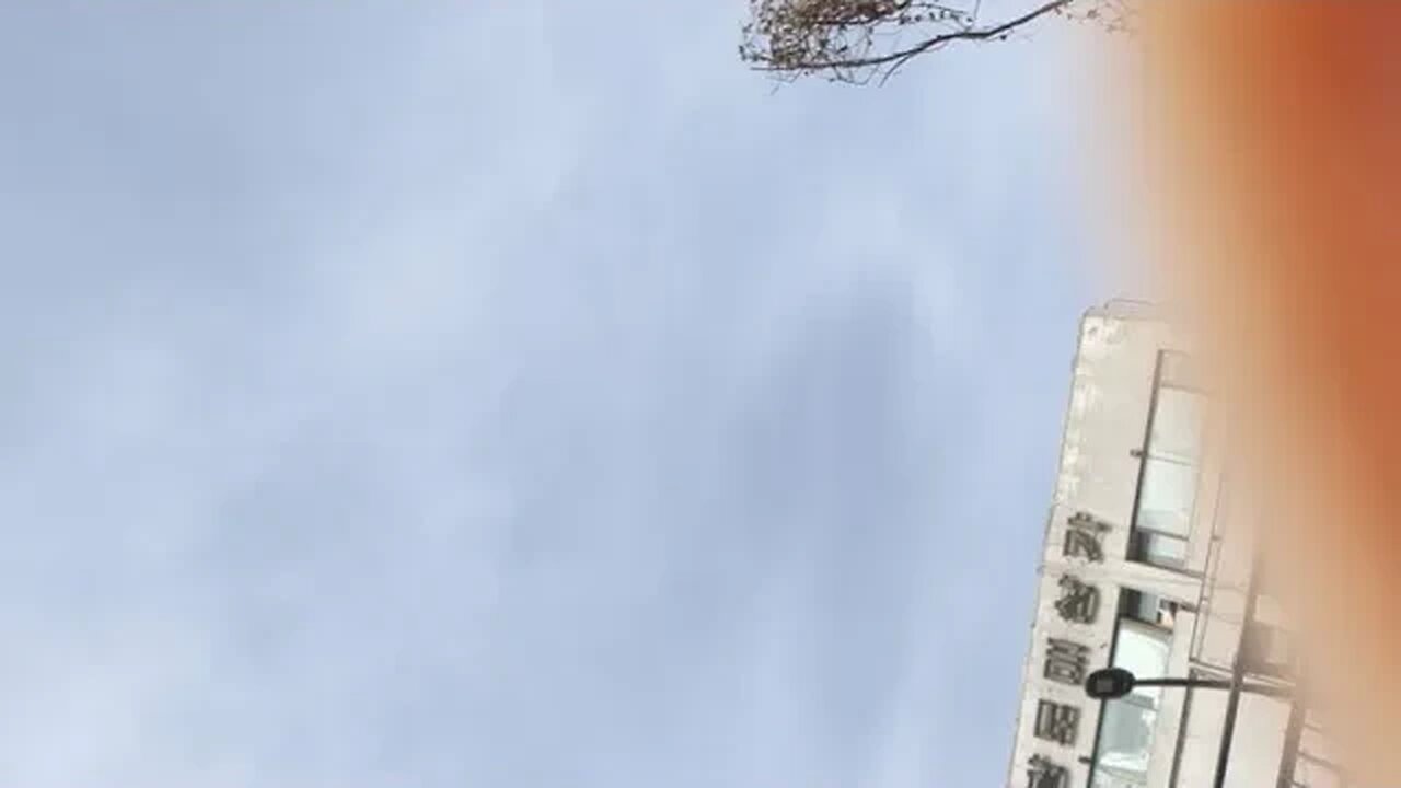 청개천 종로5가 동대문 봄 물소리