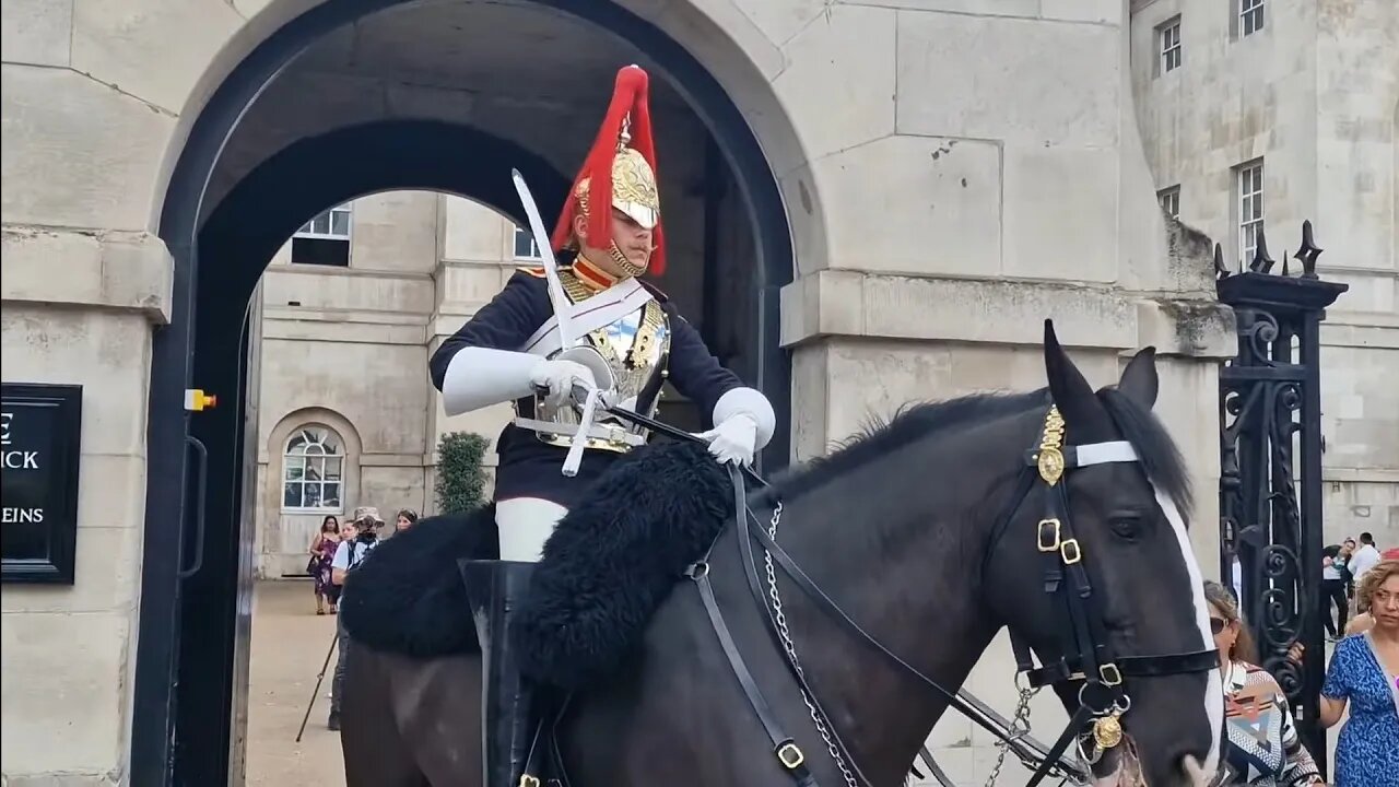 Troopers good controls over horse out of the box #horseguardsparade