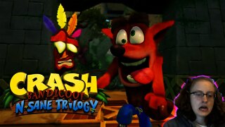 It'll NEVER END!!!!: Crash Bandicoot Moments #2