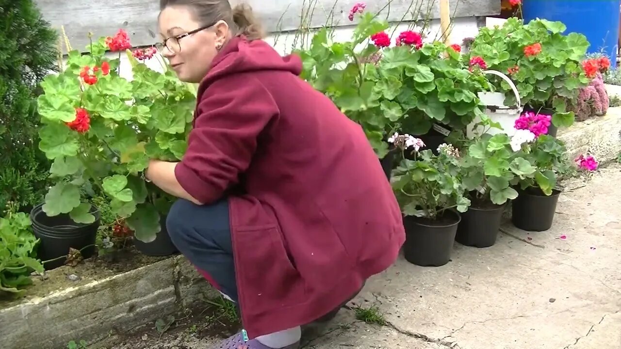 Мотивация для вас!