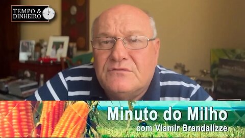 Milho continua forte na exportação.