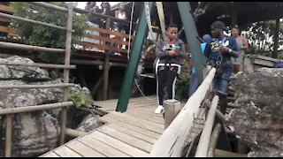 SOUTH AFRICA - Mpumalanga - The Wild Gorge swing at Oribi Gorge (Videos) (5LH)