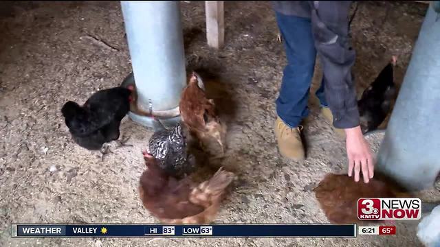 Omaha Home for Boys teaches gardening and life skills