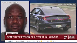 Husband is person-of-interest in Oldsmar woman's homicide