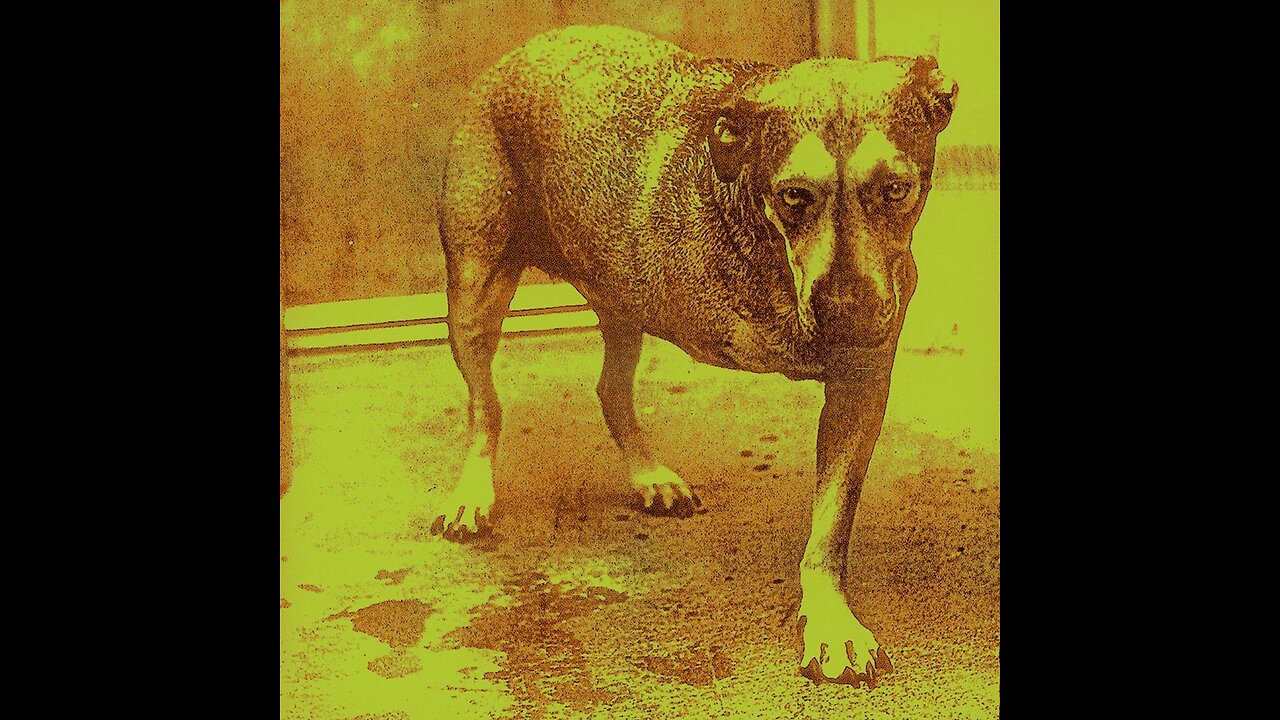 Alice In Chains - Alice In Chains