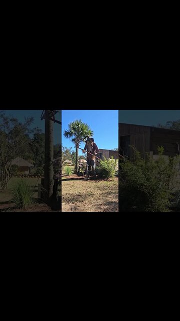 Eudora safari park fall festival