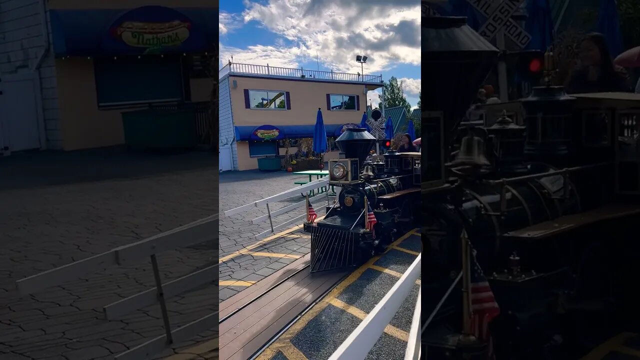 Dutch Wonderland Express Train #halloweenwithshorts #shorts #dutchwonderland #happyhauntings