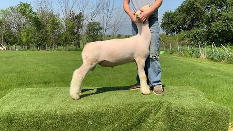 Young Guns Pen Sale Lot 19